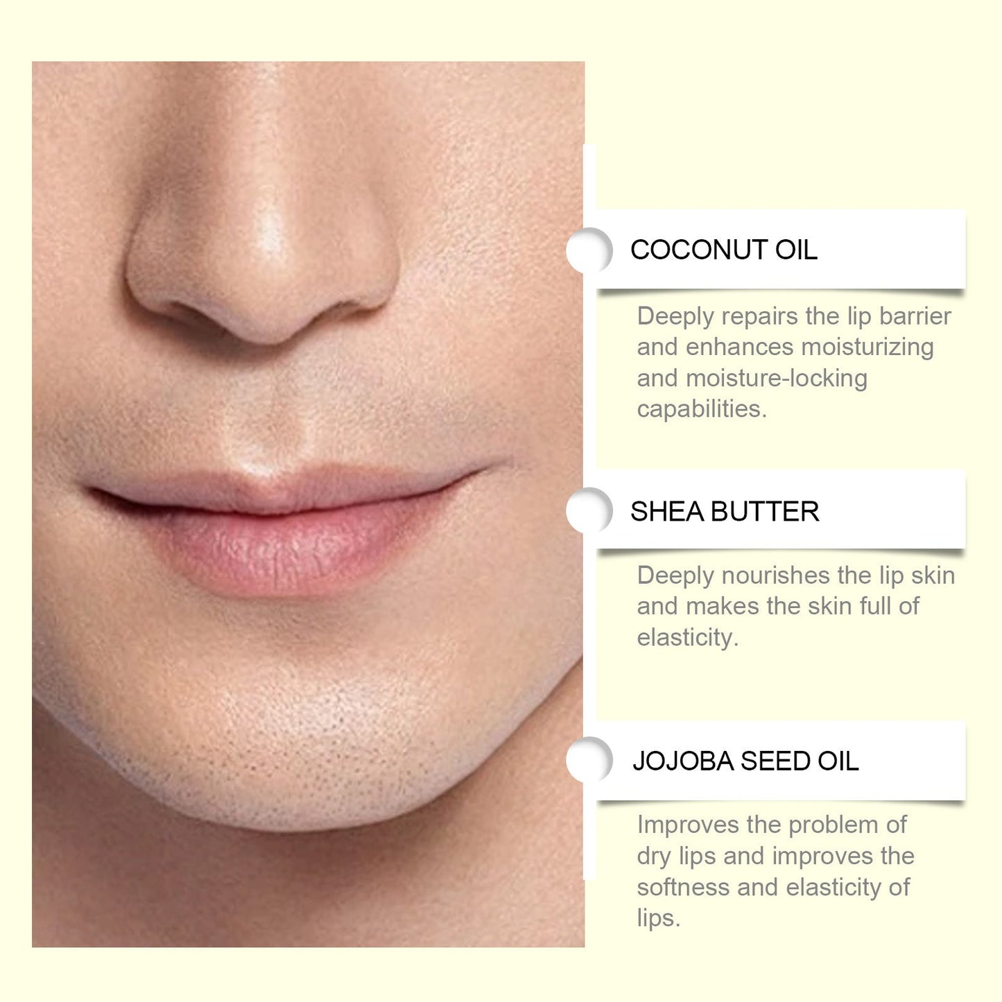 Gentle Moisturizing Lips Lasting Moisturizing Care Lips Care Lip Balm